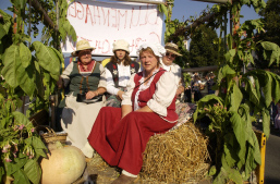 Foto: Blumenhagener auf einem mit Tabakblättern geschmückten Wagen