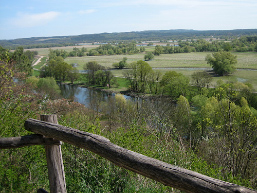 Foto: Blick in die Auenlandschaft Foto: Blick in die Auenlandschaft
