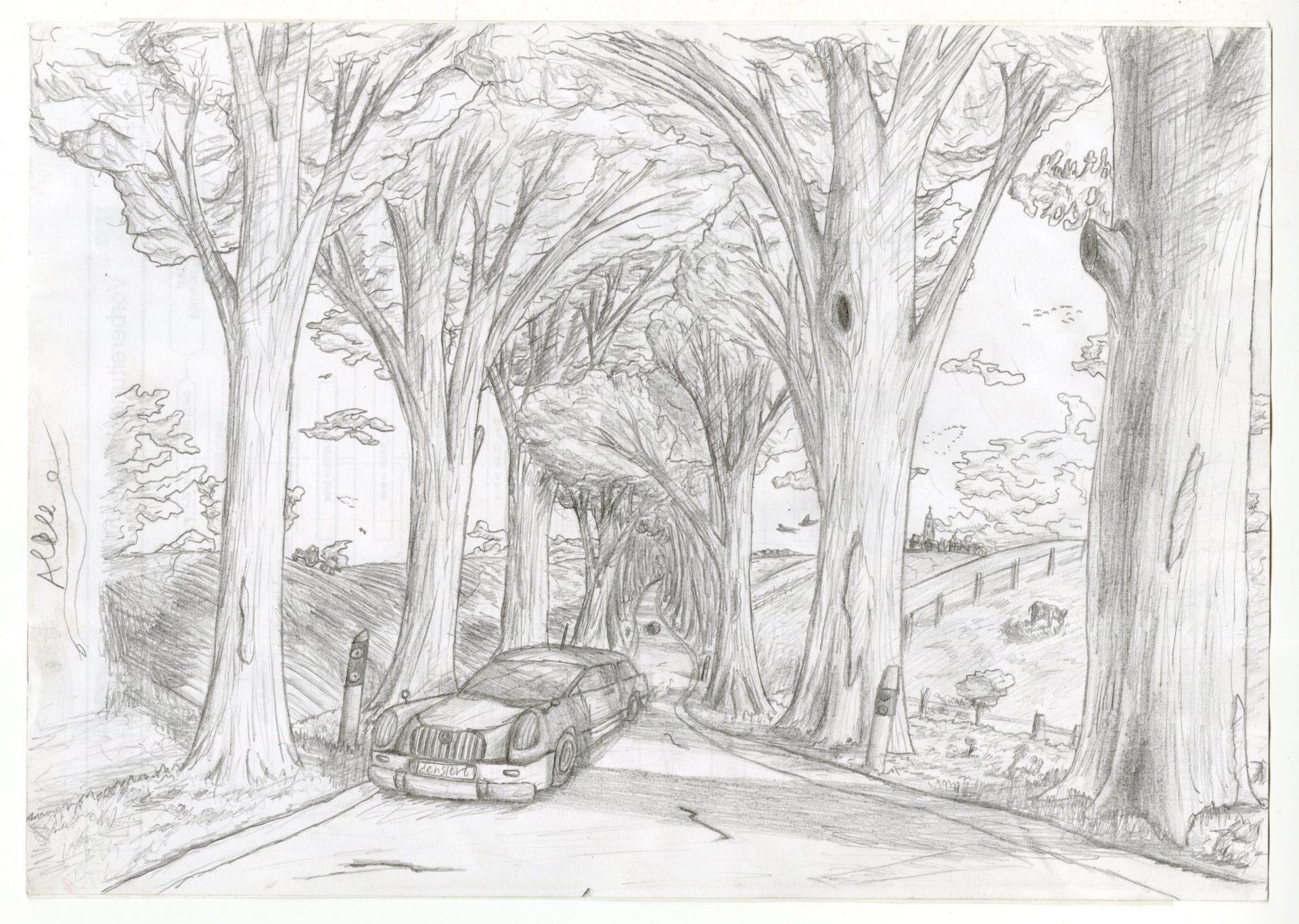 Grafik: Bleistiftzeichnung einer Baumallee mit einem Auto, das auf den Betrachter zufährt