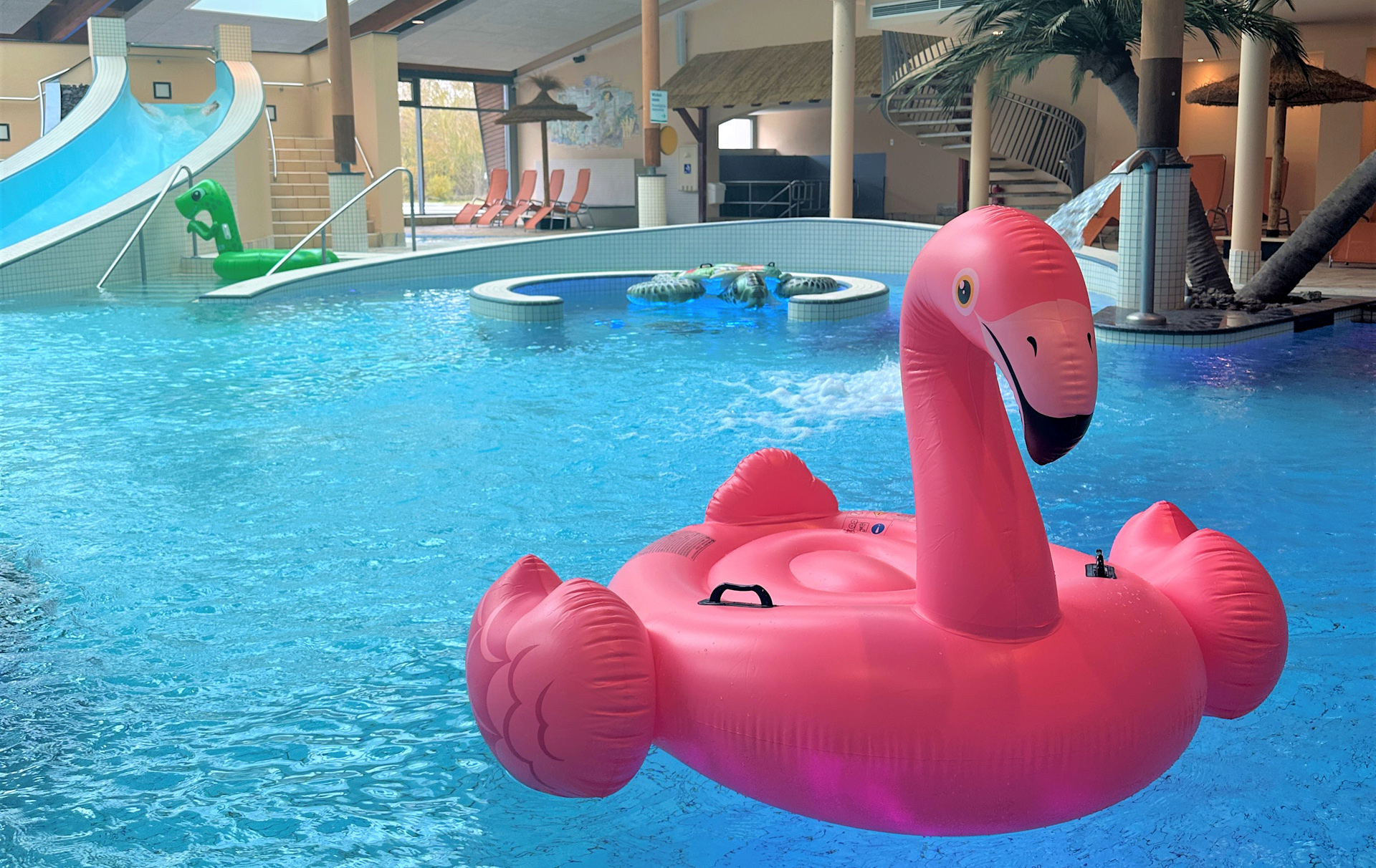 Foto: Flamingo-Schwimmring im Schwimmbecken