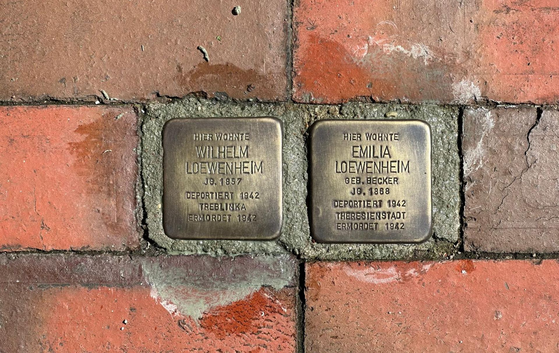 Foto: 2 Stolpersteine des Ehepaars Loewenheim Foto: 2 Stolpersteine des Ehepaars Loewenheim