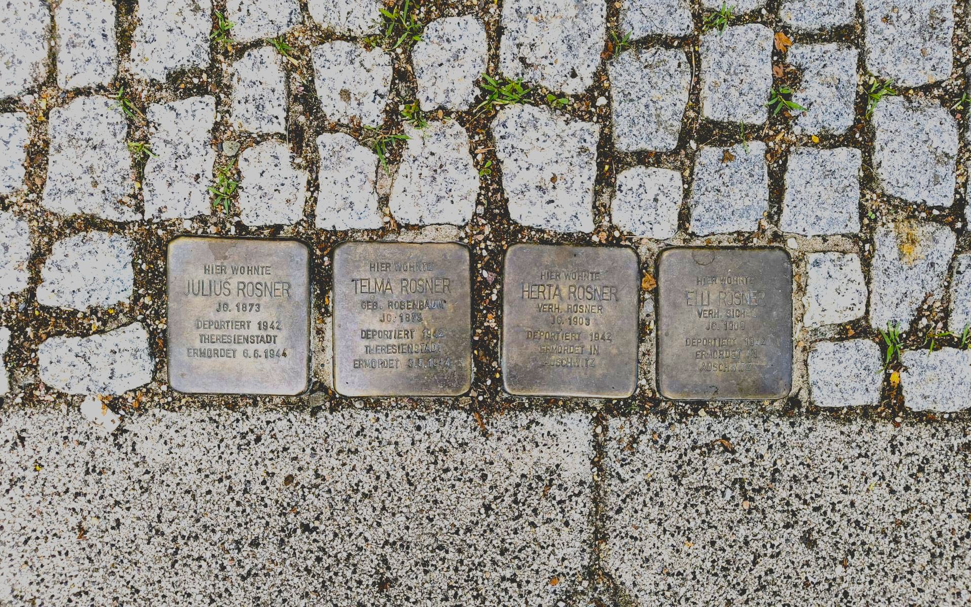 Foto: 4 Stolpersteine der Familie Rosner