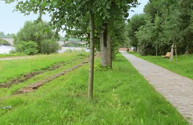 Foto: freigelegter Mauerstreifen