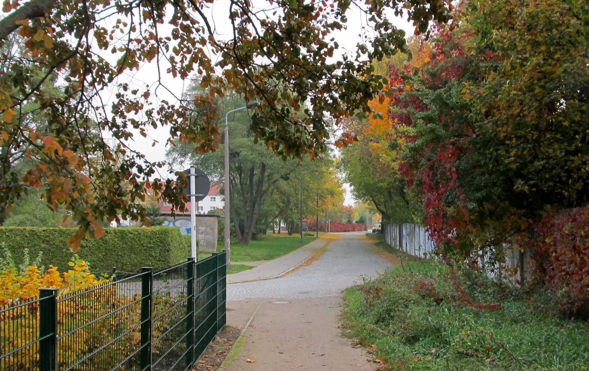 Foto: Blick in die Straße