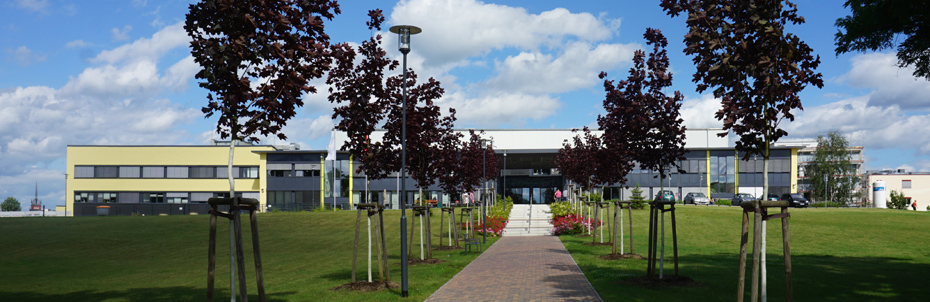 Foto: Treppenaufgang vom Parkplatz zum Haupteingang