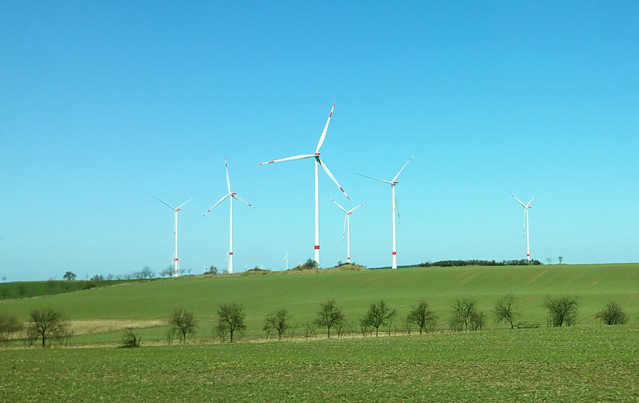 Foto: Windfeld in der Landschaft