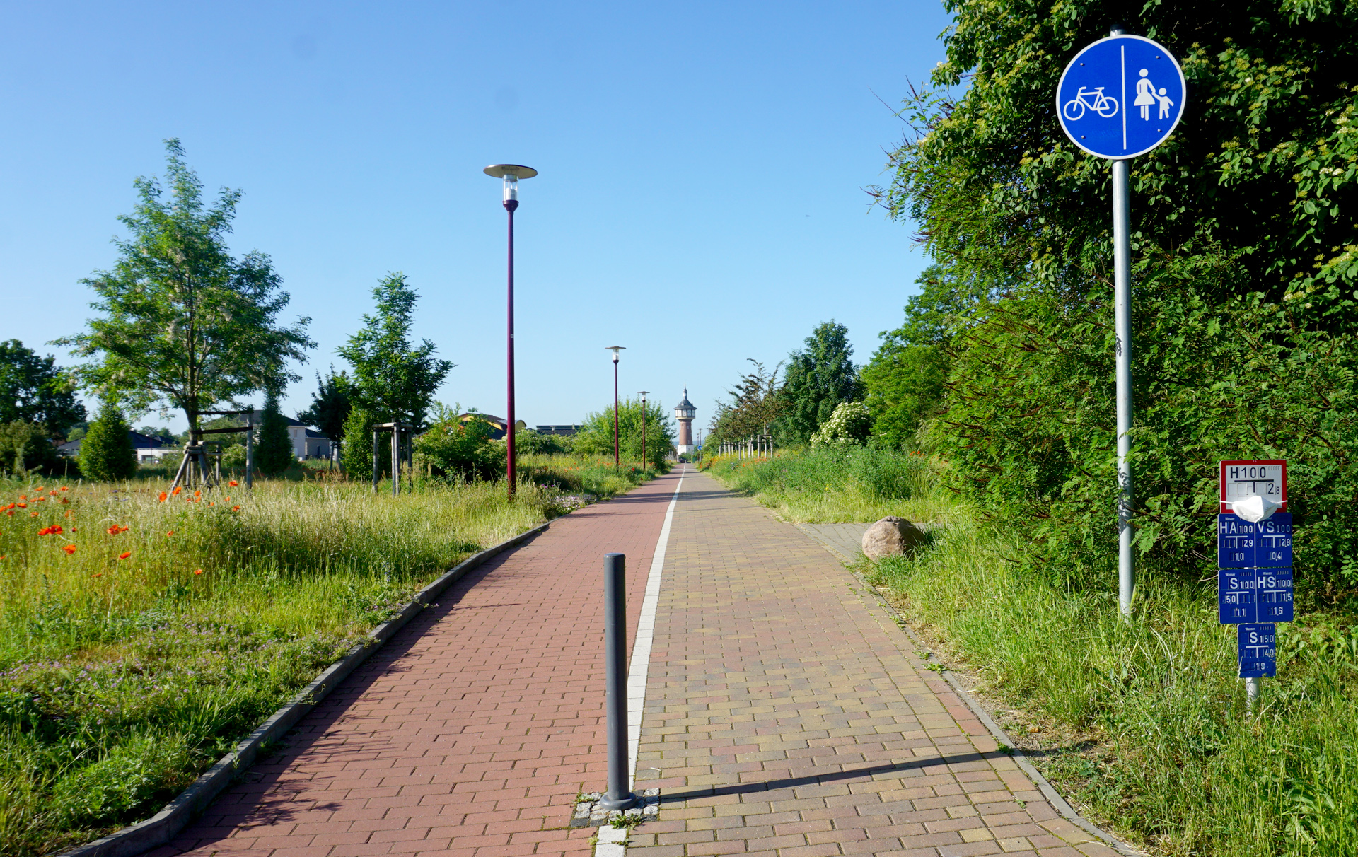 Foto: Markierter Fahrradweg mit Blick auf den Wasserturm