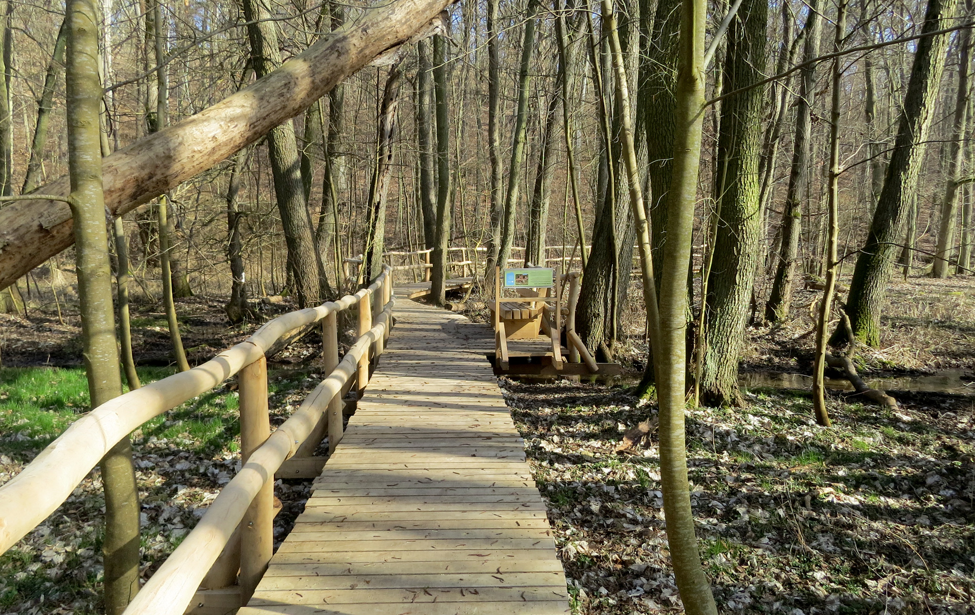 Foto: Holzbohlenweg