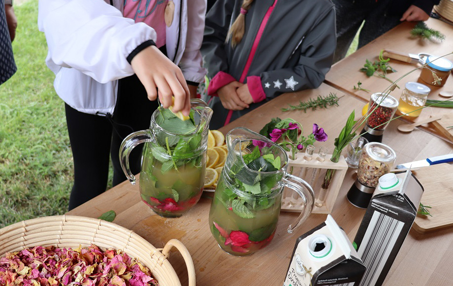 Foto: 2 Glaskannen werden mit Kräutern befüllt