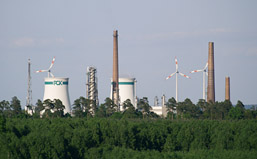 Foto: PCK-Silhouette