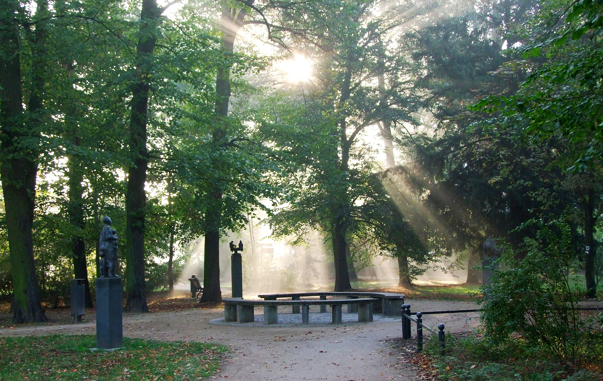 Foto: Blick in den Stadtpark mit durchscheinender Sonne