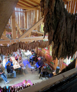 Foto: Tabakblätter hängen in der Scheune.