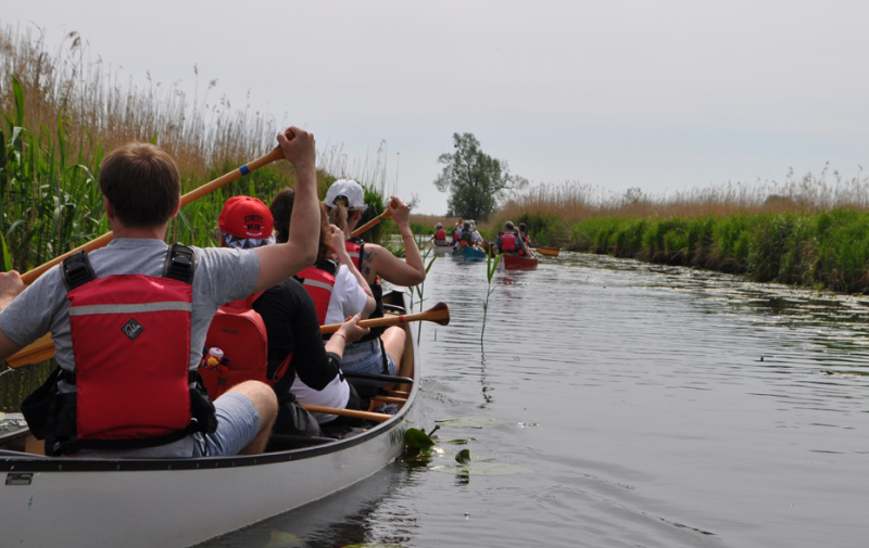 Foto: mehrere Kanus in den Poldern