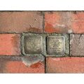 Foto: 2 Stolpersteine des Ehepaars Loewenheim