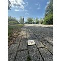 Foto: Stolperstein von Jacks am Bollwerk