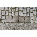 Foto: 4 Stolpersteine der Familie Rosner
