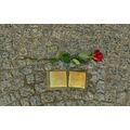 Foto: 2 Stolpersteine und eine Rose