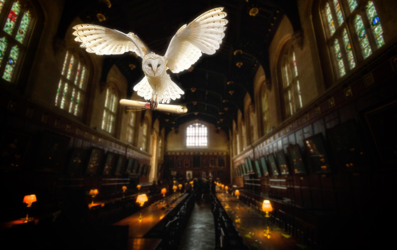 Foto: Schneeeule mit Brief im Schnabel fliegt in einem Saal auf den Betrachter zu