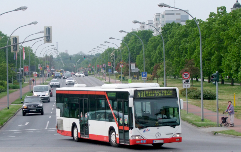 Foto: Bus auf der Lindenallee