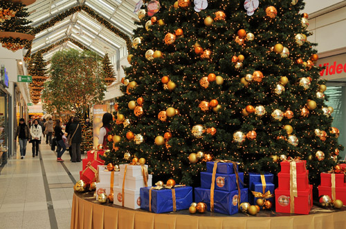 Foto: Weihnachtsbaum im Oder-Center
