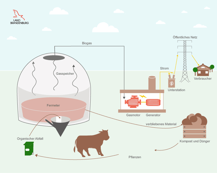 Illustration Gewinnung von Bioenergie