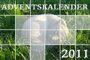 Foto: Adventskalender 2011